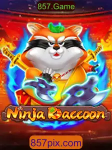 NinjaRaccoon: A Nova Febre do Mundo dos Games