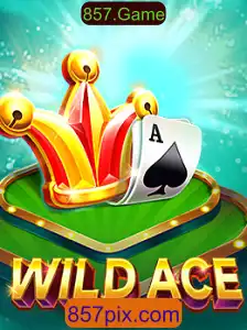 Explorando WildAce: A Nova Sensação no Mundo dos Jogos
